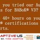 Adaptive US Inc - Business Coaches & Consultants