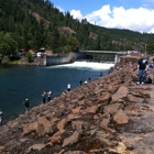 Cole River Hatchery