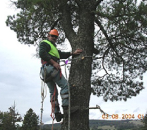 Curtis Tree Lopping Specialists - West Wodonga, VIC