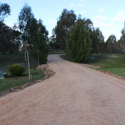 Gallery Image Number 1