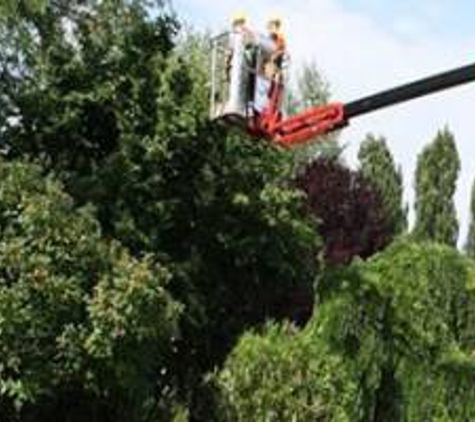 EcoPro Outdoor Solutions | Bradenton Tree Services - Bradenton, FL