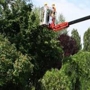 EcoPro Outdoor Solutions | Bradenton Tree Services