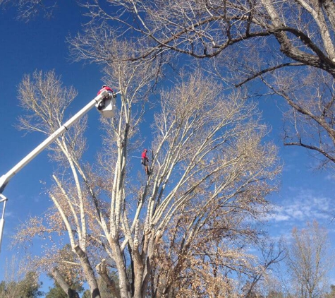 Jonny's Tree & Landscaping Co., LLC - Prescott, AZ