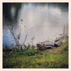 Brazos Bend State Park gallery