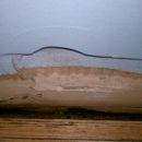 Dolan-Badame Renovations, Inc - Drywall Contractors