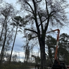 J P Abner Stump Grinding
