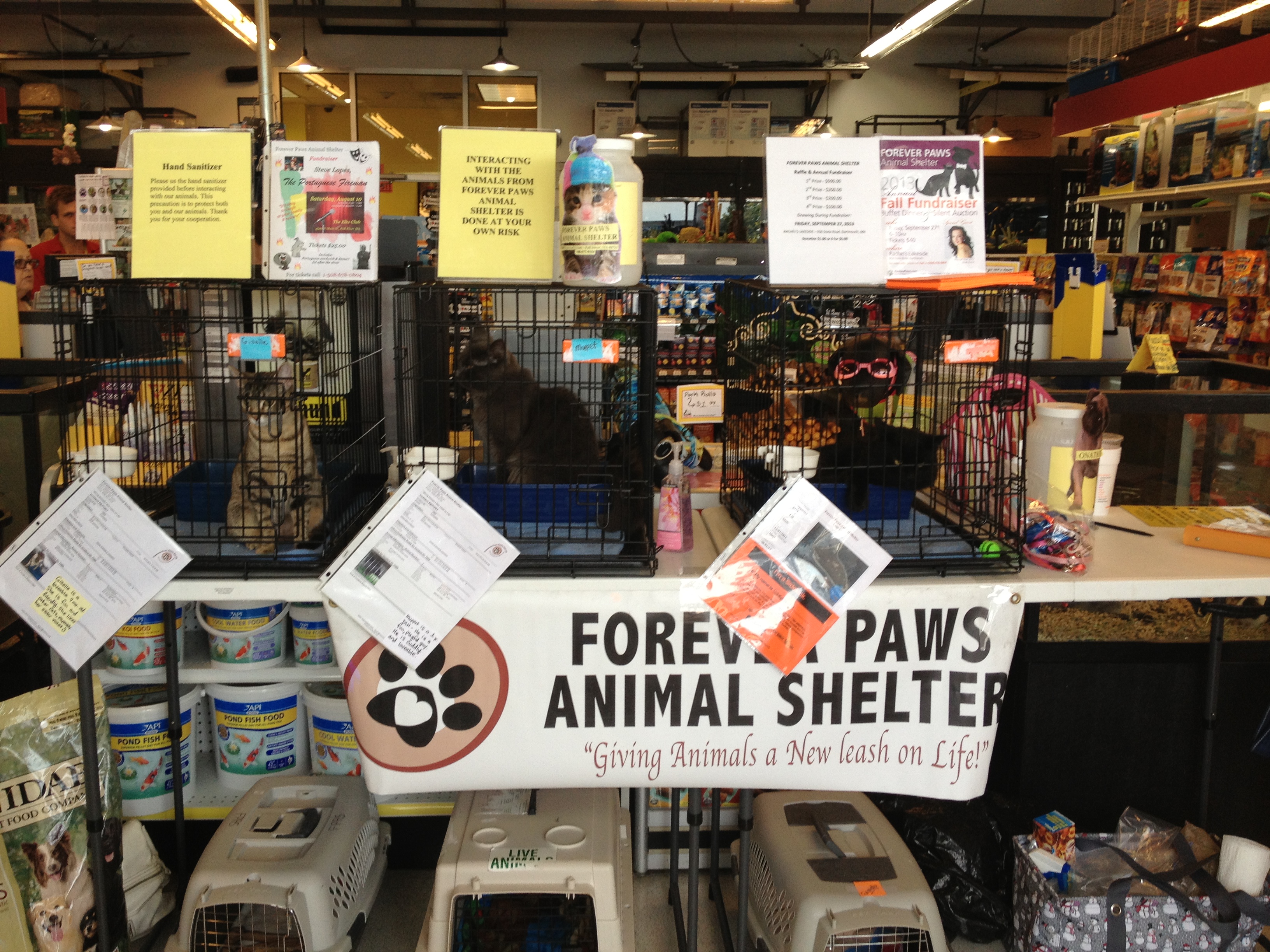 Mellisa s Pet Depot Fairhaven MA 02719