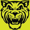 Wildcat Movers - Plano gallery