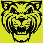 Wildcat Movers - Frisco