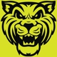 Wildcat Movers - Plano