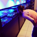 Saltwater Solutions Aquarium - Tropical Fish