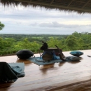Behold Retreats - Health & Wellness Products