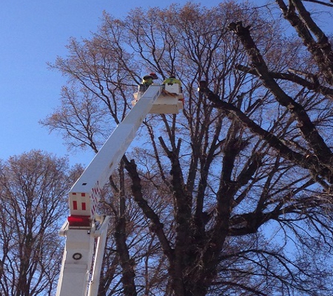 McMahon's Earthmoving & Tree Service - Jindabyne, NSW