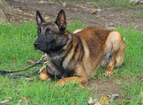 Little Rock K-9 Academy - Little Rock, AR