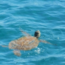 Papakea Resort - Resorts