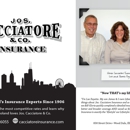 Cacciatore Insurance - Insurance Consultants & Analysts