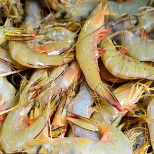 Grunske's by the RIver - Bundaberg East, QLD. Fresh Green Banana Prawns - Call us today by clicking on the link here!