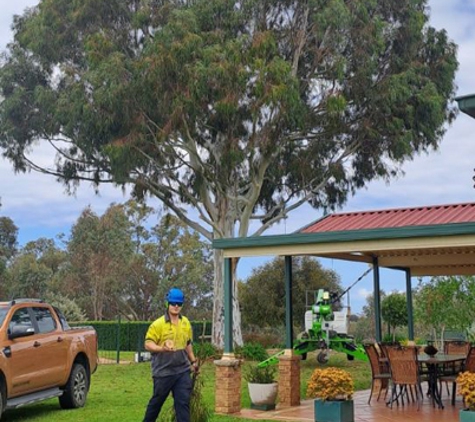Phil's Tree Service - Cootamundra, NSW
