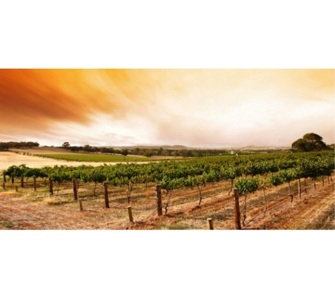 Wayne Mitchell Surveying - Vermont, VIC