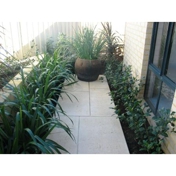 Gallery Image Number 2