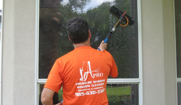 A-Pro Window Cleaning & Pressure Washing