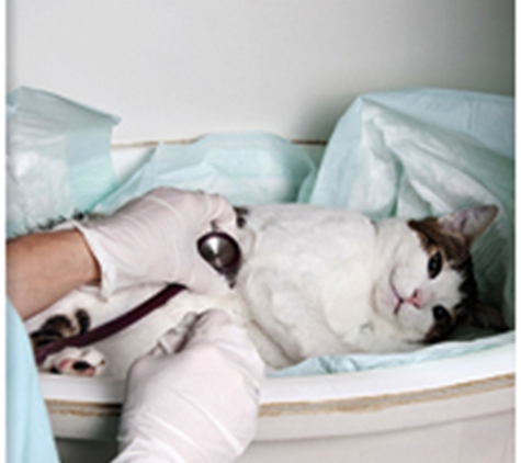 Warners Bay Vet - Warners Bay, NSW