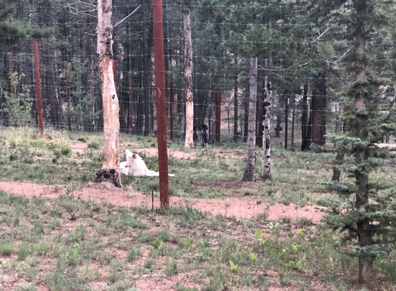 Colorado Wolf and Wildlife Center - Divide, CO