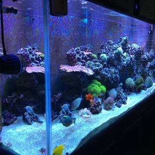 TCCorals Aquarium Service - Vero Beach, FL