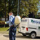 Insight Pest Control Dallas - Pest Control Services