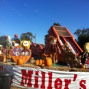 Stu Miller's Pumpkin Patch - Amusement Places & Arcades