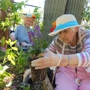 Saguaro Ranch Luxury Assisted Living