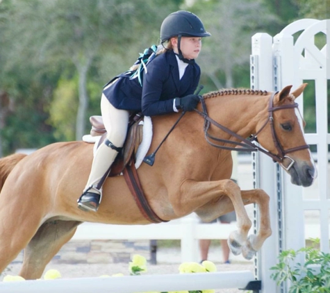 Reign Equestrian - Boynton Beach, FL