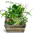 Bloomin' Genius Exotic Flowers & Gifts - Gift Baskets
