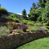 Low Maintenance Landscapers gallery