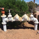Metering Services Inc - Backflow Prevention Devices & Services