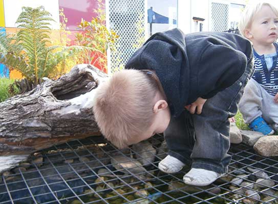 Discovery Early Learning Centres - Ulverstone Early Learning Centre & OSHC - Ulverstone, TAS