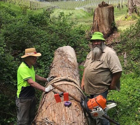 Richard Storton - Nuriootpa, SA. Chainsawing the log