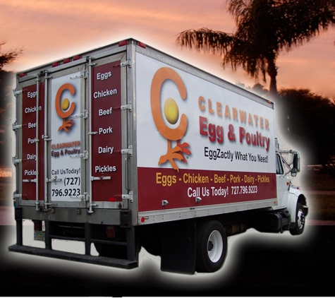 Potter Marketing & Branding - Clearwater, FL