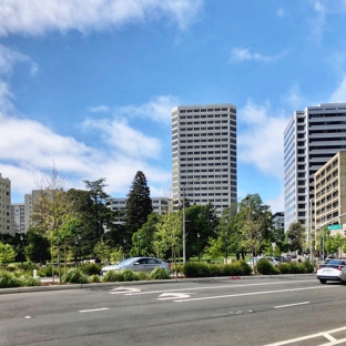 Snow Park - Oakland, CA