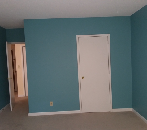 professional painters - Alexandria, VA