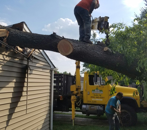 Big Timber Tree Service, LLC - Marlton, NJ. We handle all insurance claims and 24-hour emergency storm service