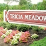 Tricia Meadows