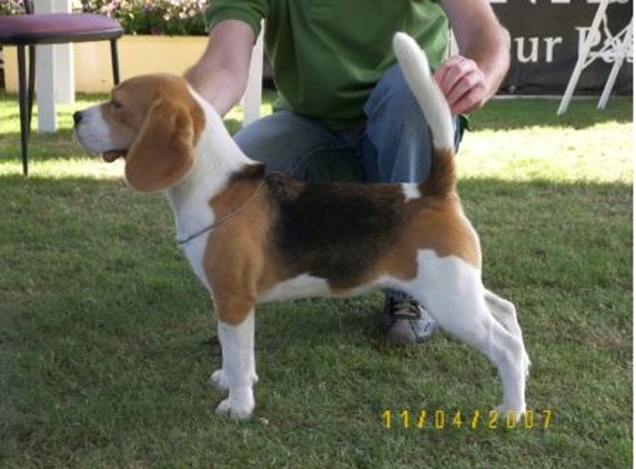 Head to Tail Pet Complex - Dapto, NSW