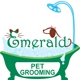 Emerald Animal Hospital