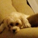Greenfield Housing Center - Modular Homes, Buildings & Offices