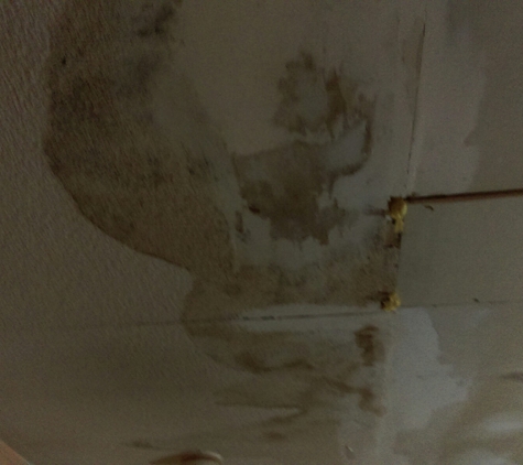 Travel Inn - Vineland, NJ. This is the ceiling it leaks