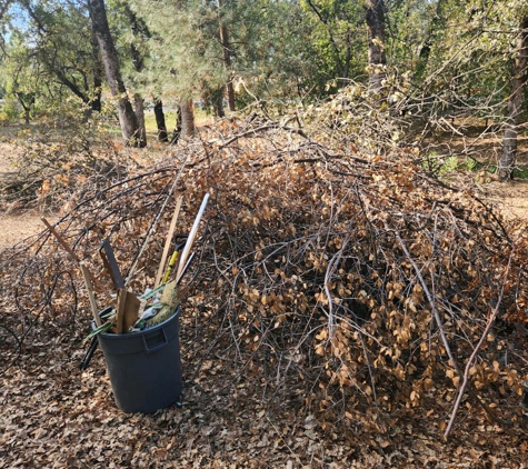 Hedrick Hauling and Junk Removal - Redding, CA