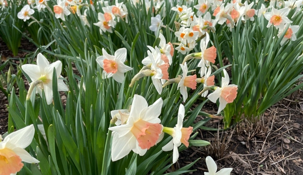 Wellfield Botanic Gardens - Elkhart, IN