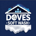 Dove's Soft Wash