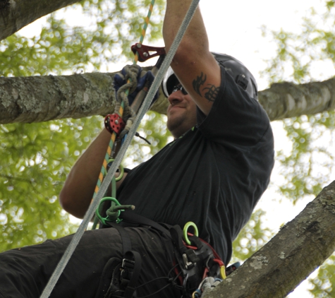 Tree Tech Tree Services Inc. - Mooresville, NC